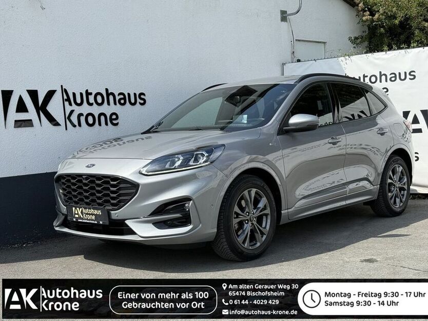 Kuga