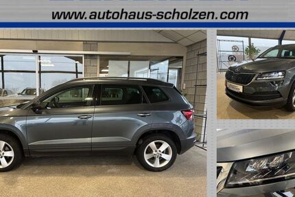 Skoda Karoq 114.889 km 19.890 &euro; Hellenthal/Kehr 53940