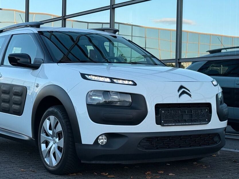 C4 Cactus