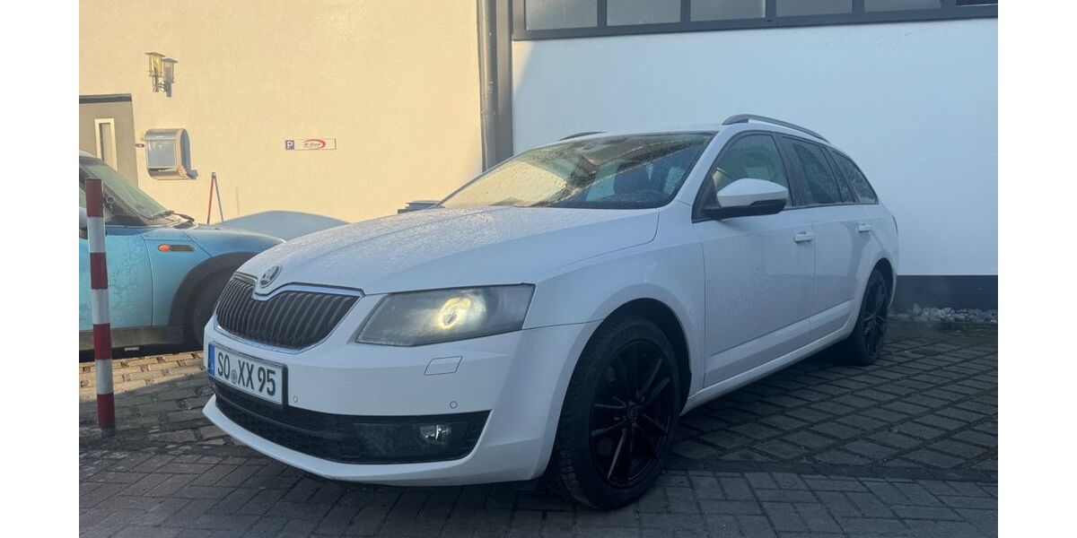 Skoda Octavia 172.000 km 9.500 &euro; Welver 59514