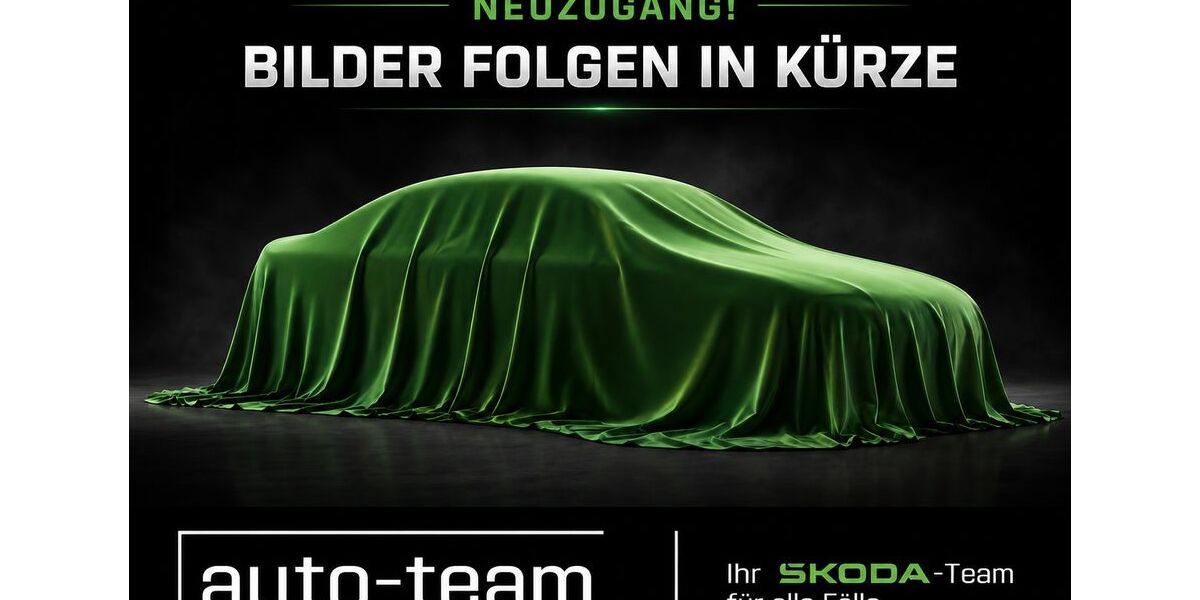 Skoda Octavia 92.789 km 23.790 &euro; Göppingen 73033