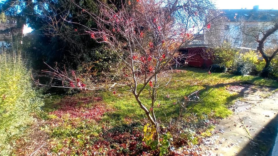 Einfamilienhaus Filderstadt - 500.000&euro; | Angebot:25282641