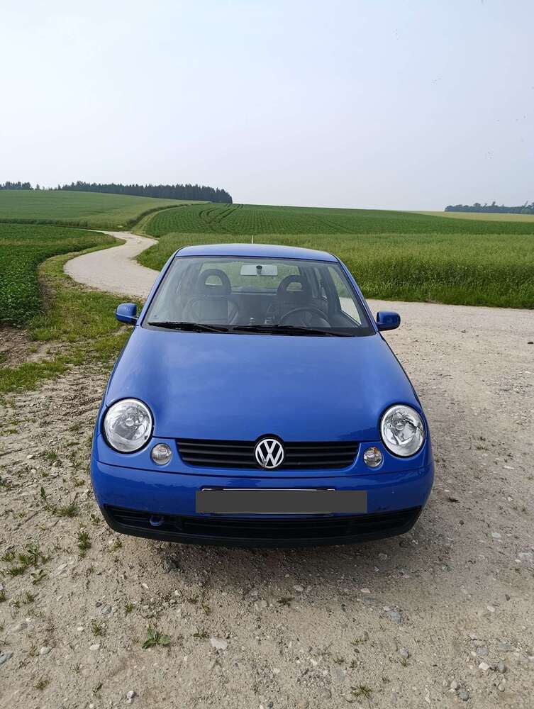 Lupo