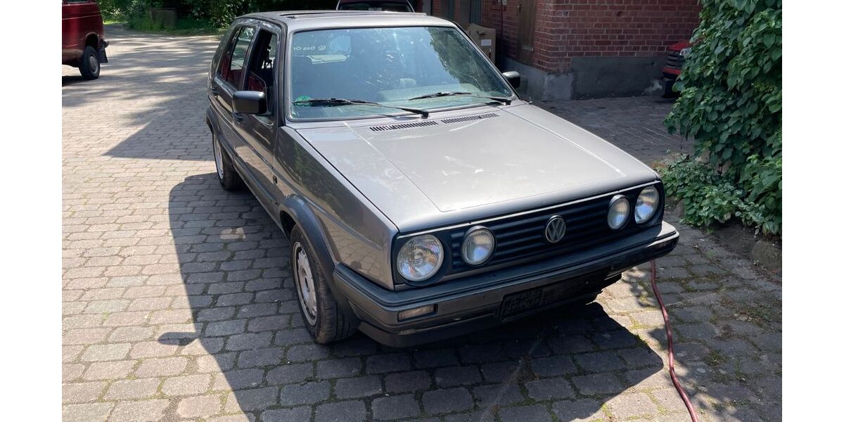 VW Golf 216.270 km 1.650 &euro; Wrestedt 29559