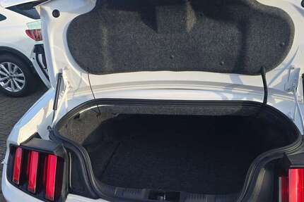 Ford Mustang 61.260 km 22.000 &euro; Neuenburg am Rhein, Stadt 79395