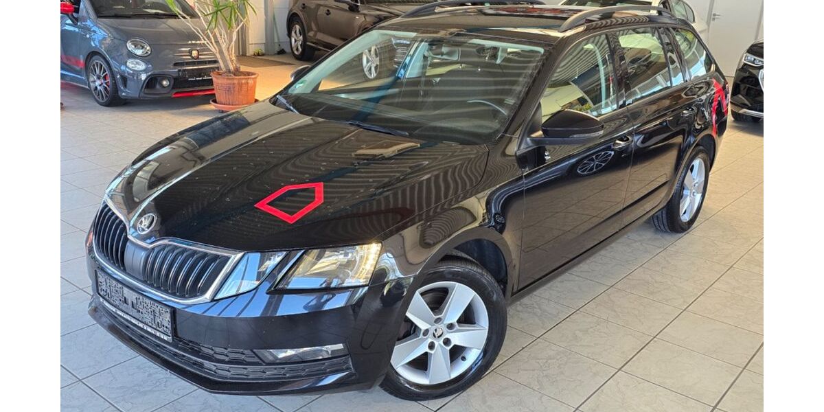 Skoda Octavia 173.000 km 9.690 &euro; Ichenhausen 89335