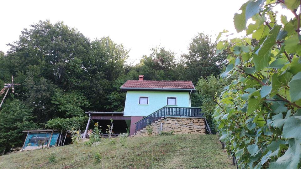 Einfamilienhaus Passau Mühltal - 59.700&euro; | Angebot:26953067