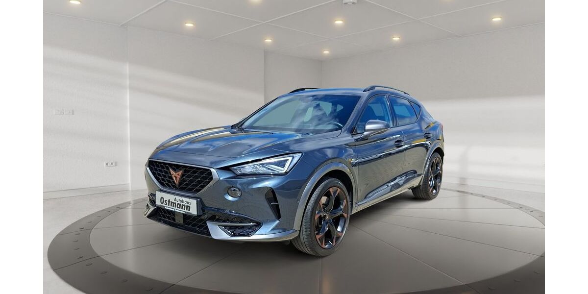 Cupra Formentor 63.196 km 25.550 &euro; Fritzlar 34560