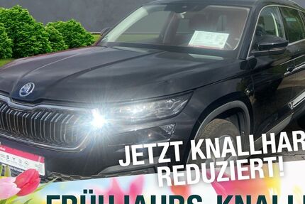 Skoda Kodiaq 109.694 km 31.870 &euro; Marktredwitz 95615