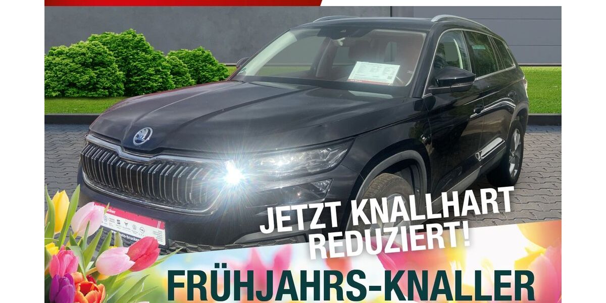 Skoda Kodiaq 109.694 km 31.870 &euro; Marktredwitz 95615