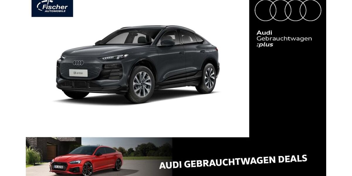 Audi Q6 e-tron 8.315 km 55.480 &euro; Neumarkt 92318