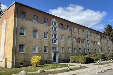 Wohnung zum Mieten in Neuenkirchen 425 € 51.9 m² 2 zimmer