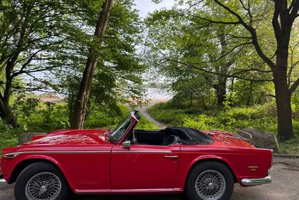 Triumph TR5