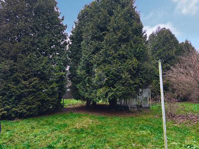 CHANCE NUTZEN - VISIONEN GLÜCKLICH UMSETZEN - Grundstück Schleusingen | Angebot:26055972