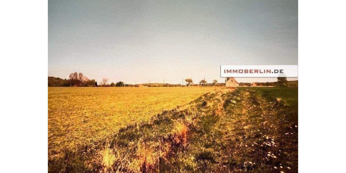 Grundstück Marlow Neu Guthendorf - 25.000&euro; | Angebot:26170541