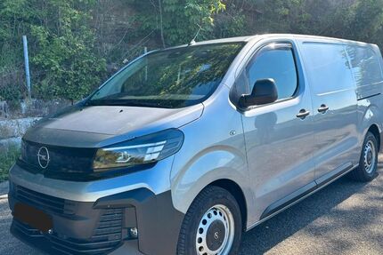 Opel Vivaro 18.000 km 30.200 &euro; Flein 74223
