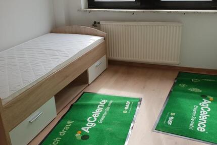 Haus Ludwigshafen am Rhein Mundenheim - 9 Zimmer, 140 m&sup2;, 2.500&euro; | Angebot:25909056