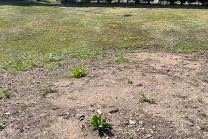 Grundstück Freital - 95.000&euro; | Angebot:19308560