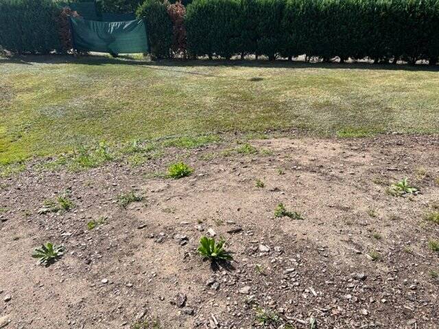 Grundstück Freital - 95.000&euro; | Angebot:19308560