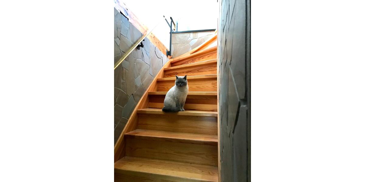 Etagenwohnung Herdecke - 2.5 Zimmer, 85 m&sup2;, 279.000&euro; | Angebot:26286947