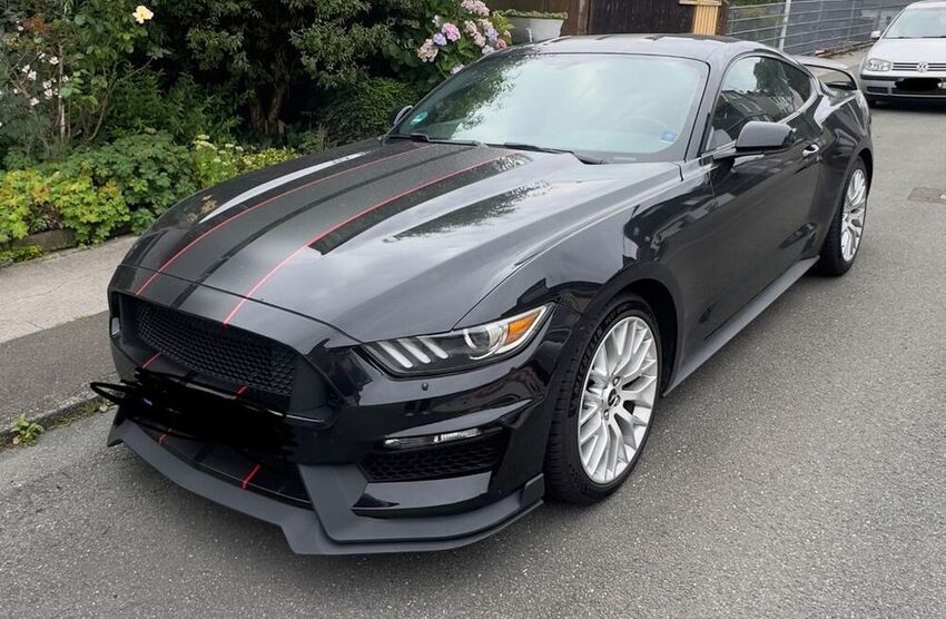 Mustang