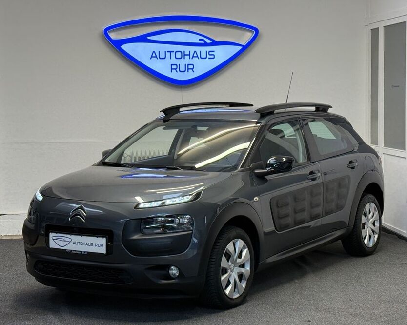 C4 Cactus
