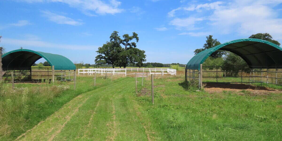 Mehrfamilienhaus, Wohnhaus Ziemendorf Ziemendorf - 8 Zimmer, 165 m&sup2;, 190.000&euro; | Angebot:25770132