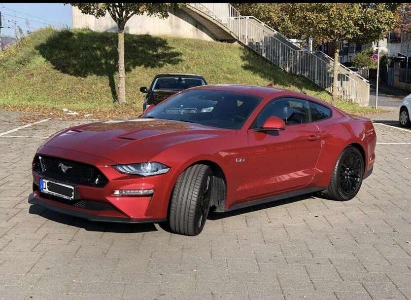 Mustang