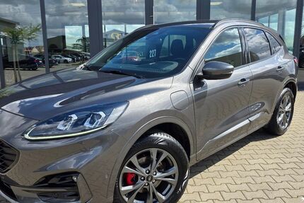 Ford Kuga 22.000 km 23.899 &euro; Damme 49401