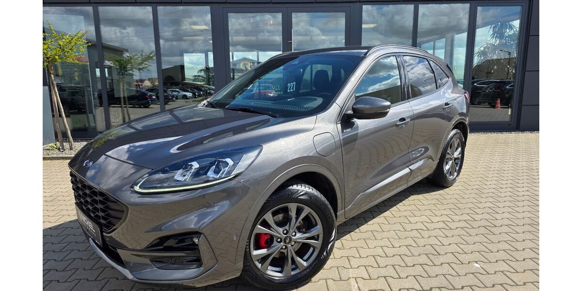 Ford Kuga 22.000 km 23.899 &euro; Damme 49401