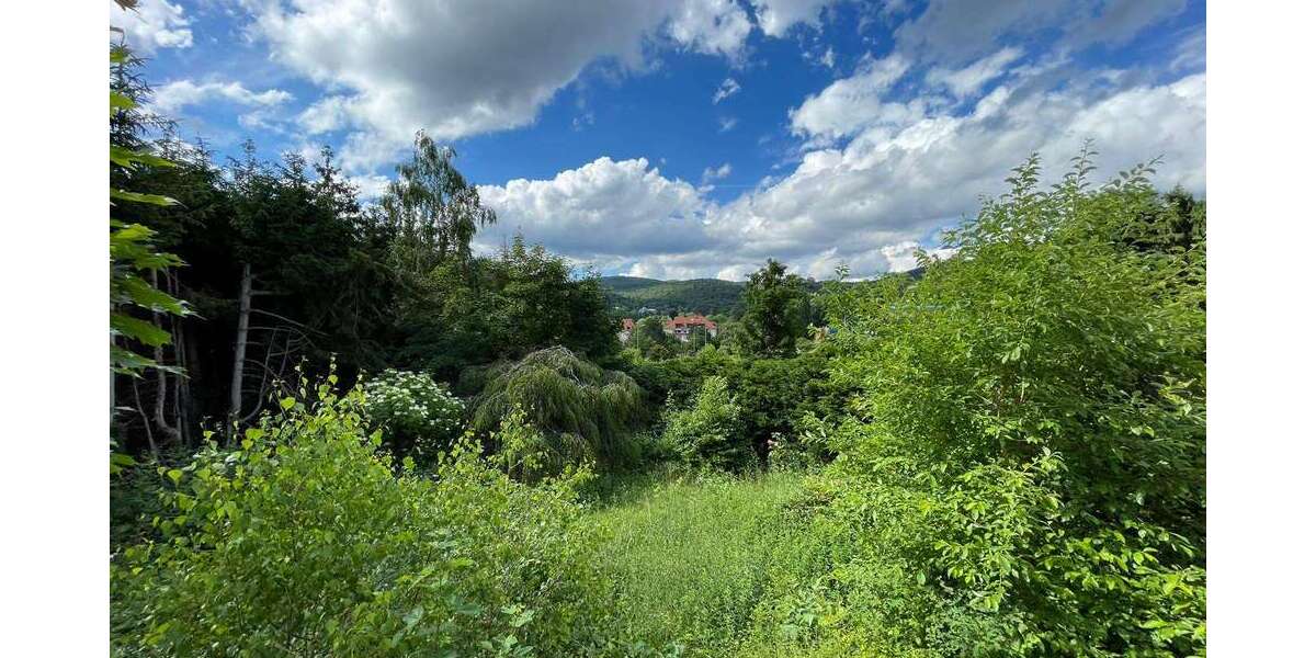 Grundstück Königstein - 1.400.000&euro; | Angebot:24683069