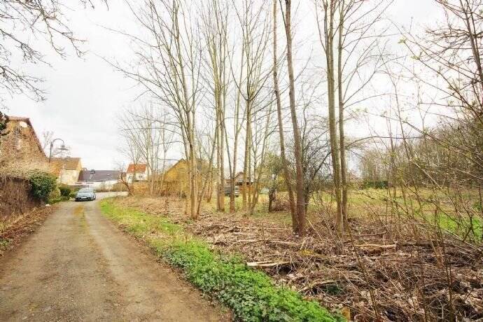 Grundstück Zahna-Elster Zahna - 85.000&euro; | Angebot:25748453