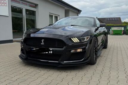 Ford Mustang 14.700 km 39.990 &euro; Lage 32791