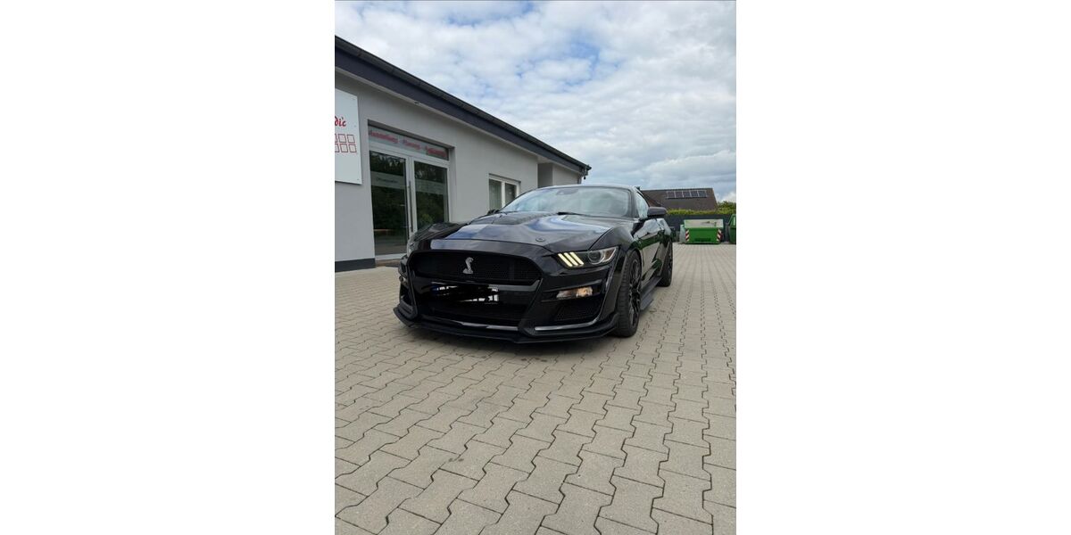 Ford Mustang 14.700 km 41.000 &euro; Lage 32791