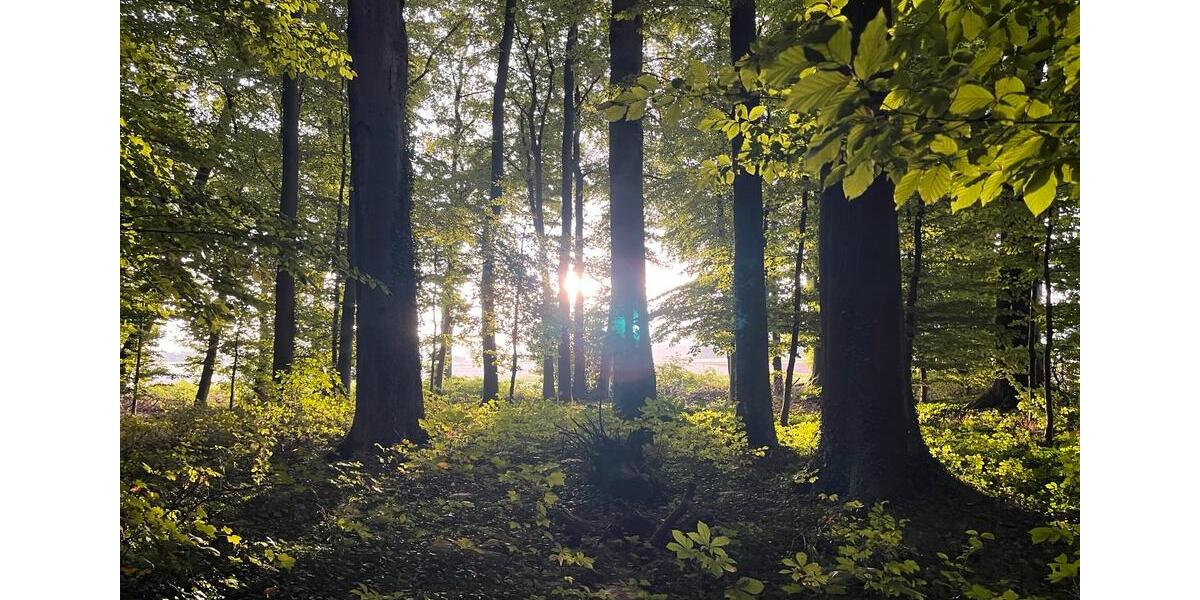 Bauernhaus, Landhaus Melle Bruchmühlen - 6 Zimmer, 150 m&sup2;, 650.000&euro; | Angebot:25839983