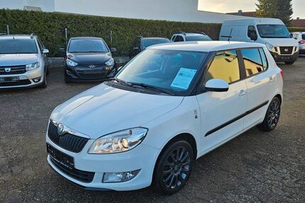 Skoda Fabia 157.000 km 4.600 &euro; Munster 29633