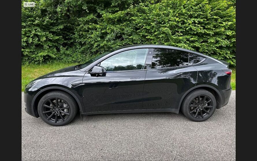 Model Y