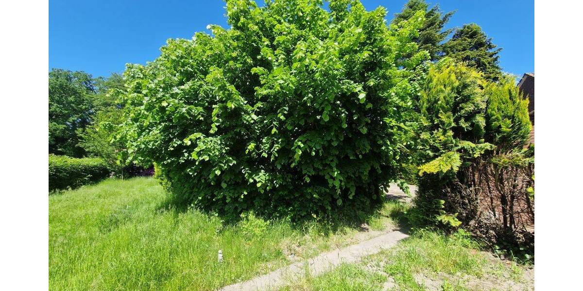 Einfamilienhaus Zetel / Neuenburg Neuenburg - 7 Zimmer, 162 m&sup2;, 217.000&euro; | Angebot:26886133