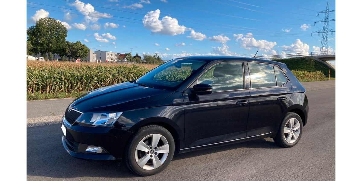 Skoda Fabia 110.500 km 8.500 &euro; Ludwigshafen 67061