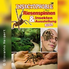 Insectophobie: Riesen Spinnen & Insekten 01.03.2026 Weitblick