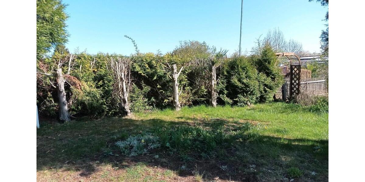 Grundstück Hörselberg-Hainich Hainich - 1.400&euro; | Angebot:26480411