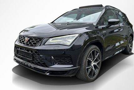 Cupra Ateca 164.795 km 18.000 &euro; Fürth 90763