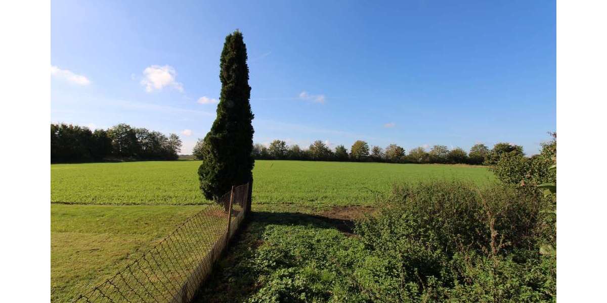 Selbstverwirklichung auf 2.619 qm großem Grundstück + im Umkreis von Halle (Saale) 3 zimmer