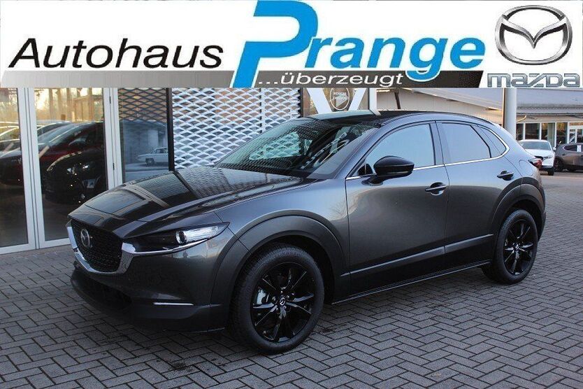 CX-30