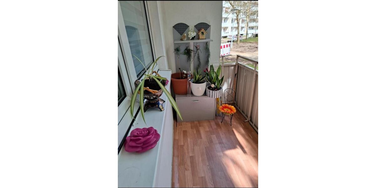 Erdgeschoßwohnung Erfurt Gispersleben - 1 Zimmer, 56 m&sup2;, 517&euro; | Angebot:26413446