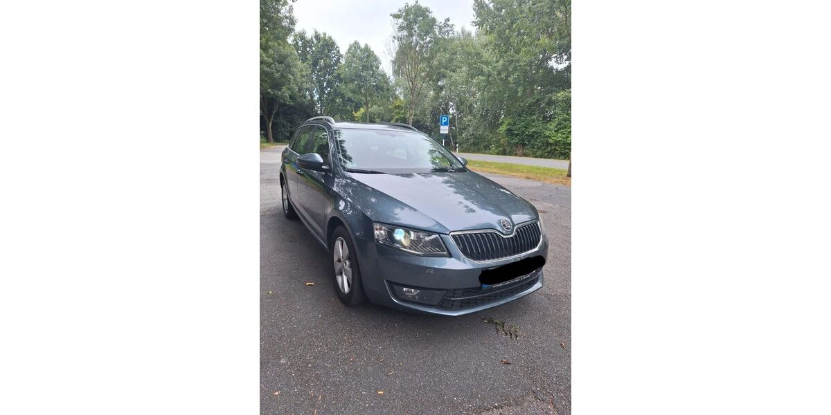 Skoda Octavia 179.000 km 11.700 &euro; Bargstall 24806