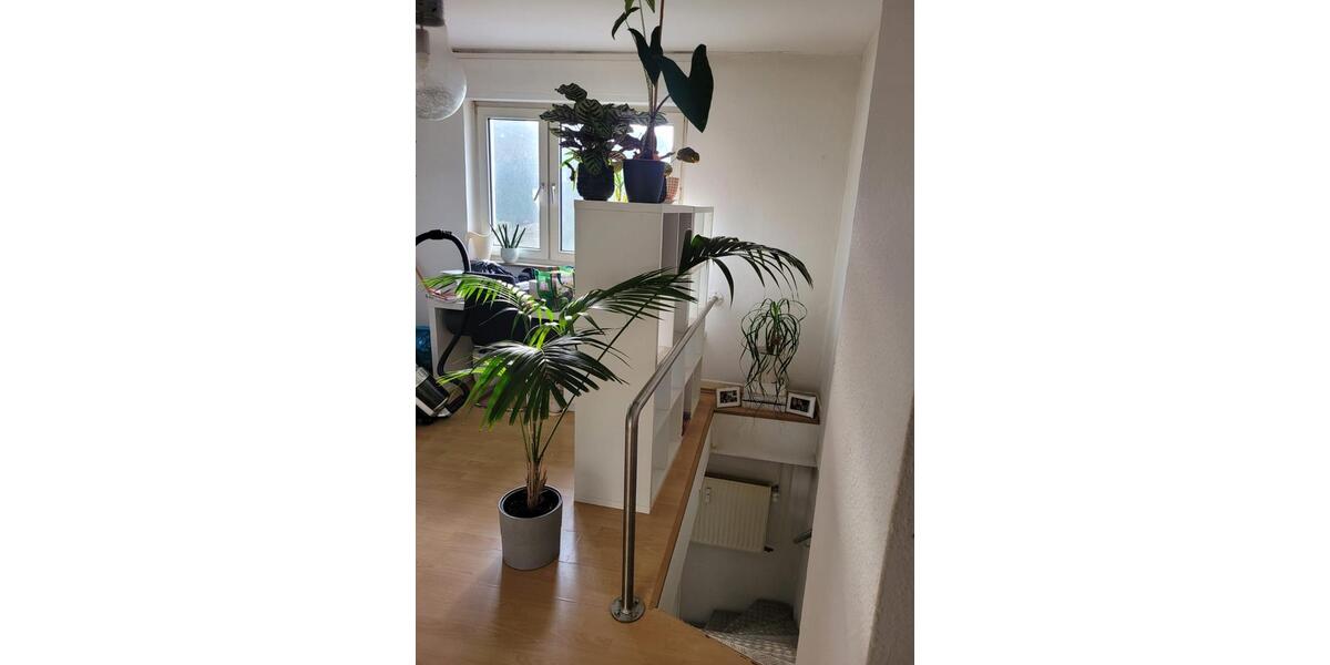 Erdgeschoßwohnung Siegen Kaan-Marienborn - 2 Zimmer, 73 m&sup2;, 650&euro; | Angebot:26335350