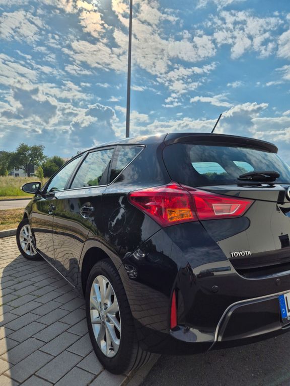 Auris