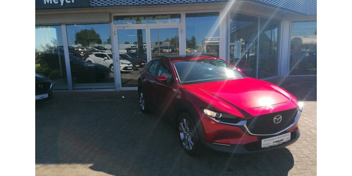 Mazda CX-30 43.239 km 24.990 &euro; Klötze 38486