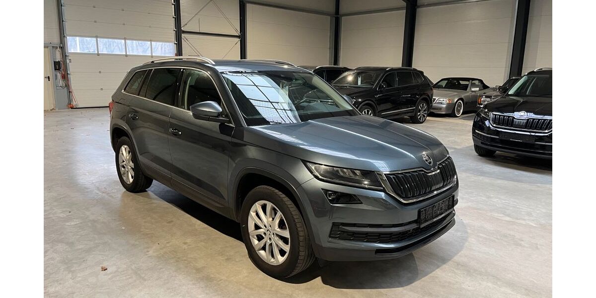 Skoda Kodiaq 202.000 km 17.969 &euro; Neuenhaus 49828